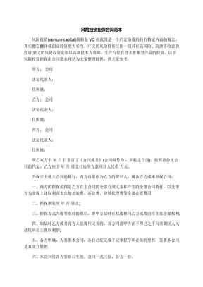 风险投资担保合同范本
