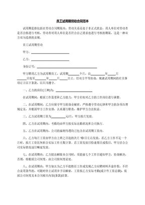员工试用期劳动合同范本