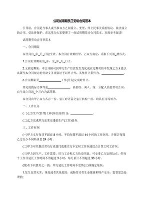 公司试用期员工劳动合同范本