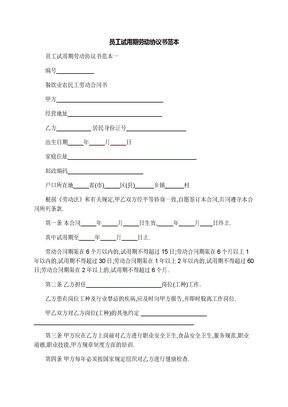 员工试用期劳动协议书范本