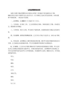 公司试用期劳动合同