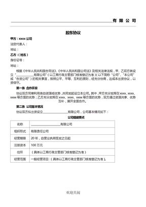 公司与个人合伙成立公司股东协议模板