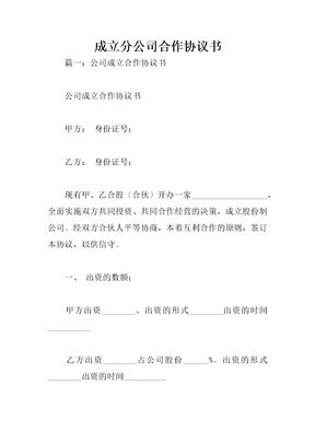 成立分公司合作协议书