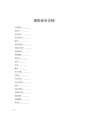 委托审计合同范文